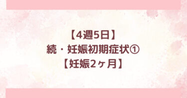 4週5日、続・妊娠初期症状①、妊娠2ヶ月