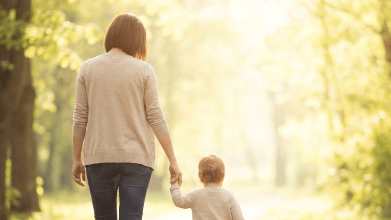 光が降り注ぐ森の中を、手を繋いだ母親と子供が歩いている後ろ姿